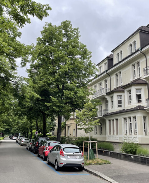 R_Birsig Fassade mit Strasse