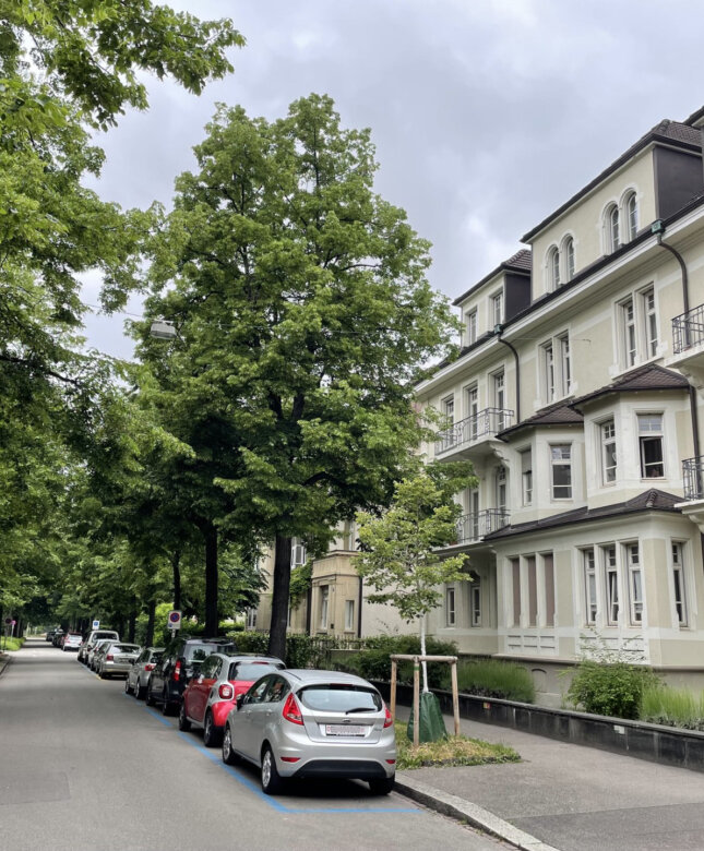 R_Birsig Fassade mit Strasse