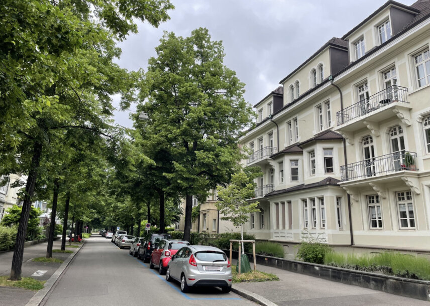 R_Birsig Fassade mit Strasse